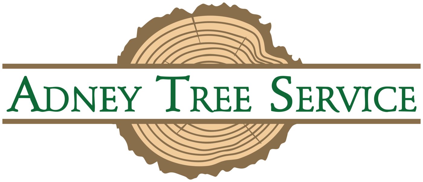 Adney Tree Service is an ISA-certified arborist team serving Santa Cruz County and the greater Bay Area, providing tree planting, pruning, removal, plant health care, and landscape consultation for residential and commercial properties.