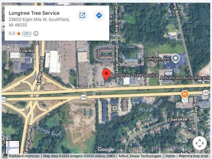 Longtree Tree Service