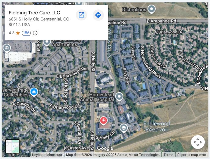 Fielding Tree Care LLC