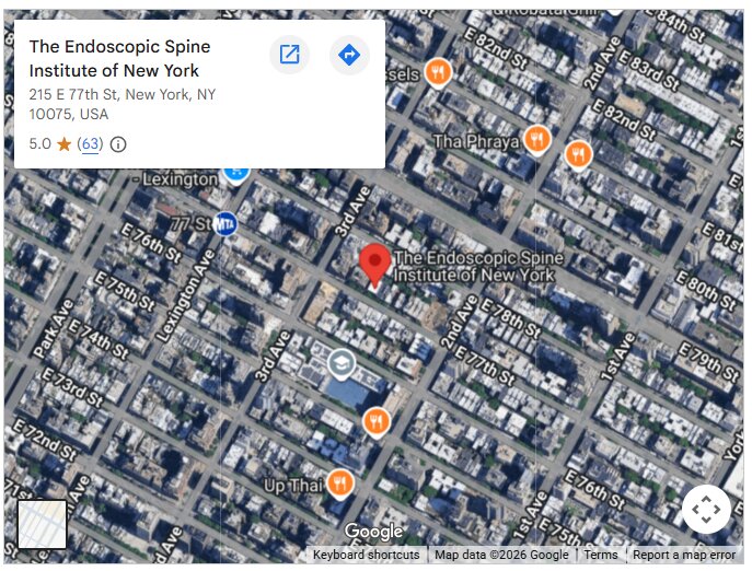 The Endoscopic Spine Institute of New York
