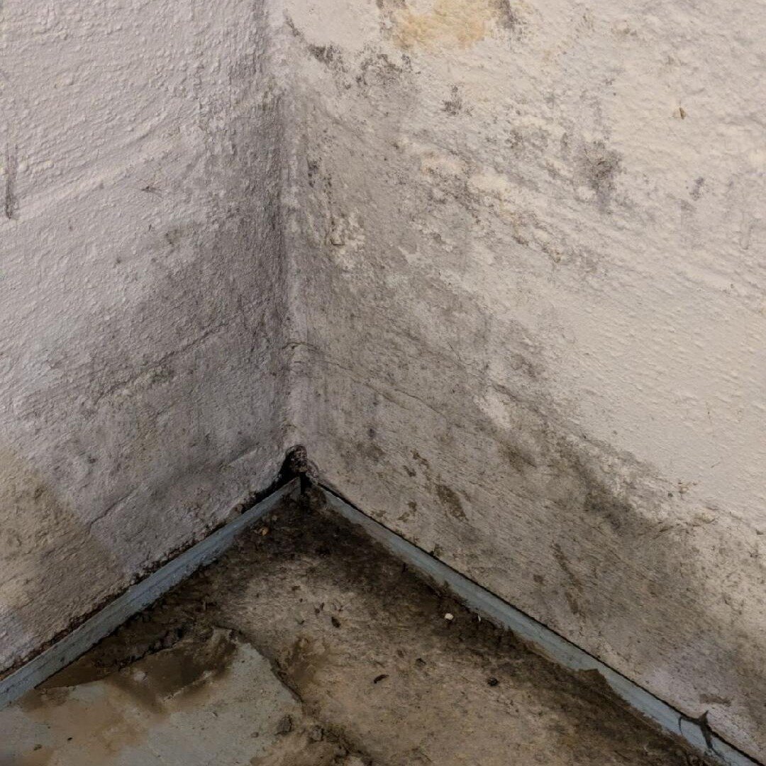 Water Damage Pro is a property damage restoration company serving Roseville, California, and surrounding Placer County communities with emergency mitigation, water extraction, structural drying, mold remediation, and comprehensive building restoration.