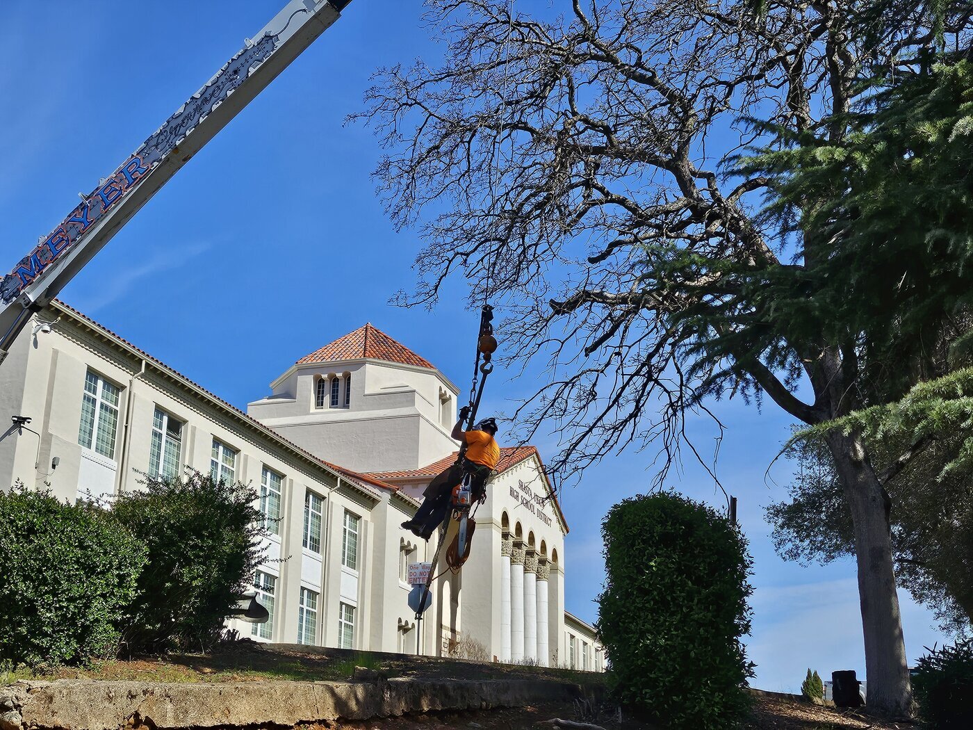 Easy Does It Tree Service provides comprehensive arborist services designed to enhance property safety and maintain landscape health across Shasta County.