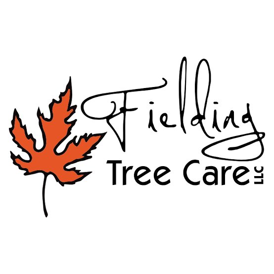 Fielding Tree Care helps Colorado property owners maintain resilient, well-managed trees through professional arboricultural services tailored to local conditions.