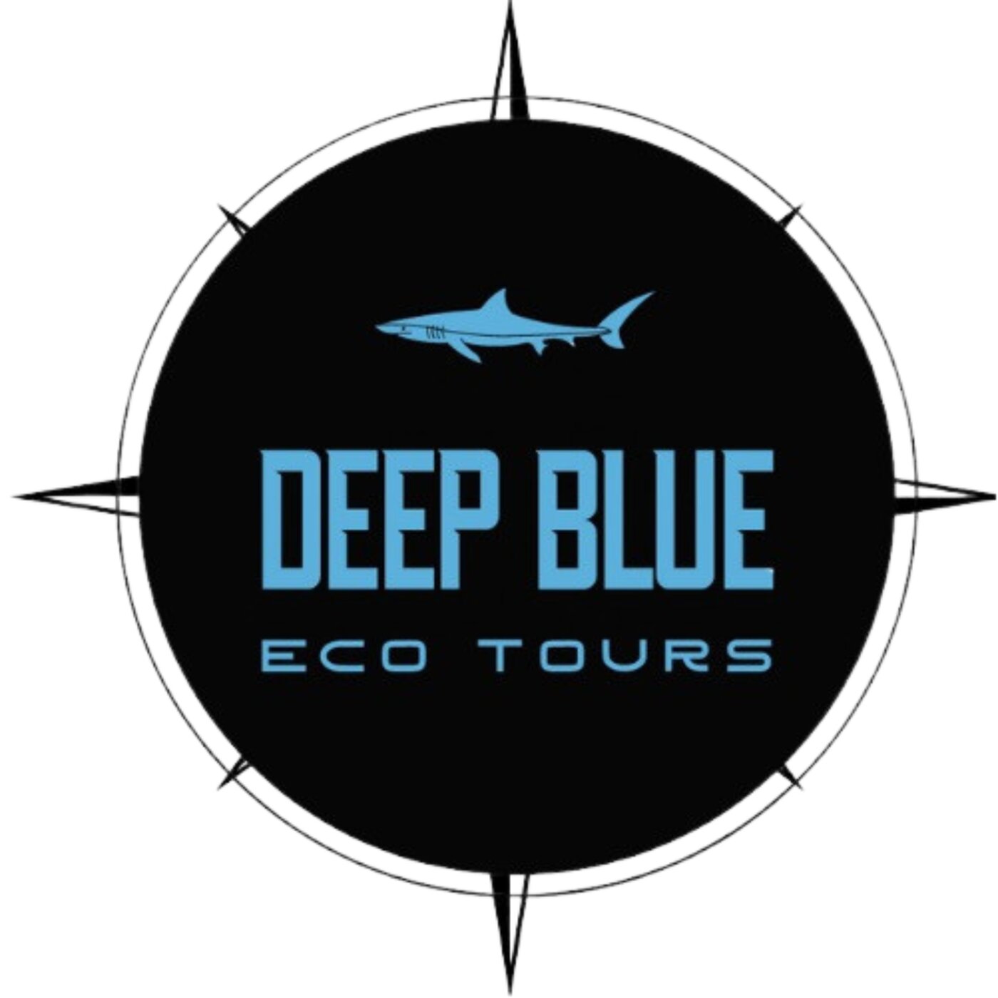 Deep Blue Eco Tours operates from Haleiwa on Oʻahu’s North Shore and provides guided shark diving and open-ocean wildlife excursions.