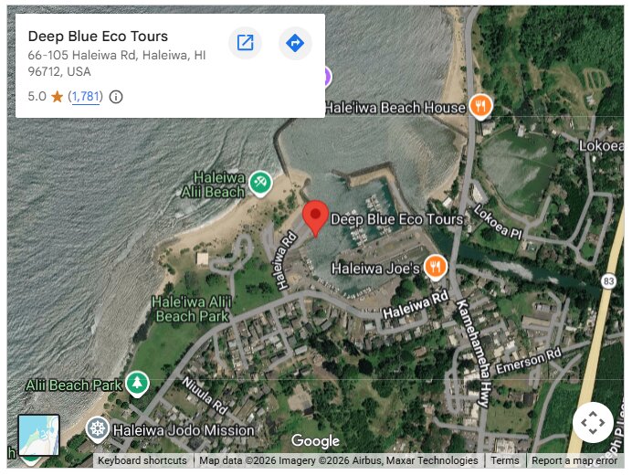Deep Blue Eco Tours