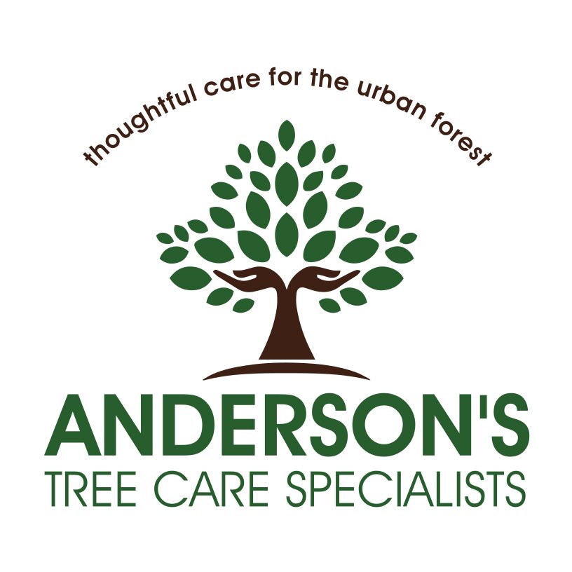 Anderson's Tree Care provides comprehensive tree healthcare and management services to San Jose and surrounding communities throughout the greater Bay Area.