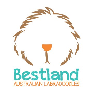 Bestland Australian Labradoodles (Reg.) Atlanta GA is a registered Australian Labradoodle breeder based in Rome, Georgia.