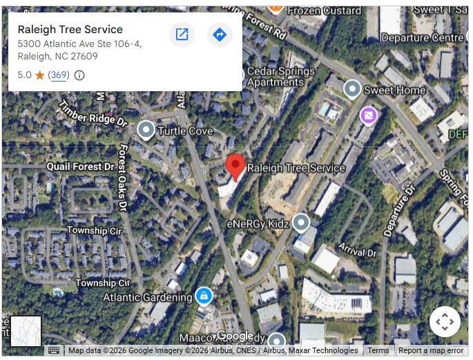 Raleigh Tree Service