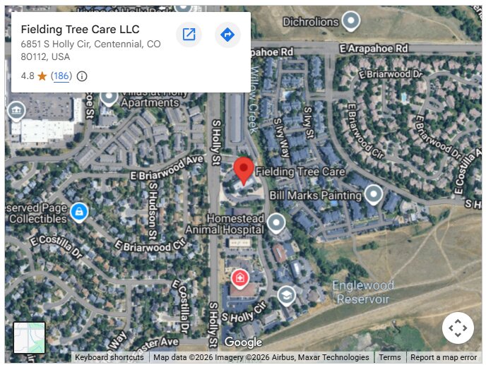 Fielding Tree Care LLC