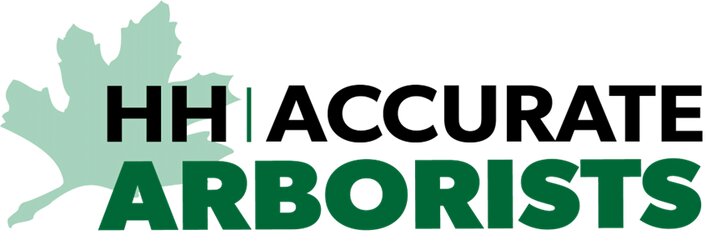 HH Accurate Arborists is a professional arborist and tree care company based in Verona, Wisconsin, serving Madison, Verona, and the surrounding Dane County region.