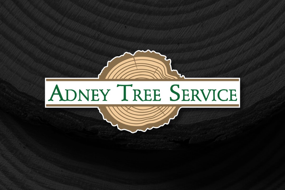 Adney Tree Service Inc. is a certified arborist-led tree care company based in Aptos, California, serving Scotts Valley, Felton, and the broader Santa Cruz County region.