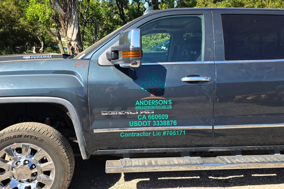 Anderson's Tree Care Specialists is a fully licensed, bonded, and insured family-run tree service in Saratoga, CA, and the Los Gatos area, based in San Jose, California, and serving the broader South Bay region.