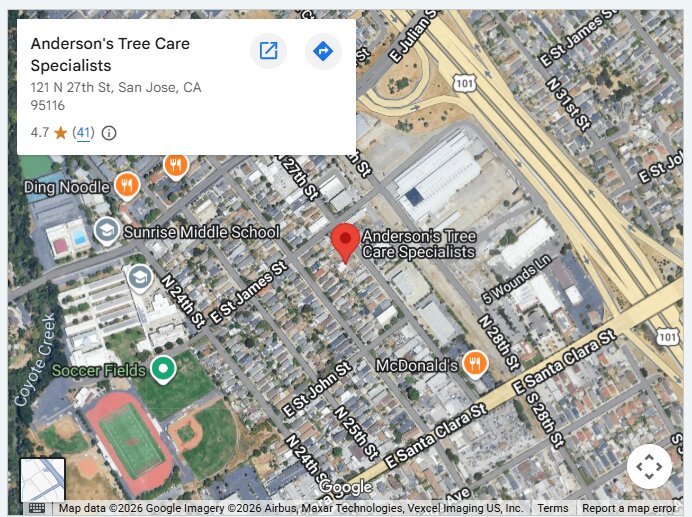 Anderson's Tree Care Specialists