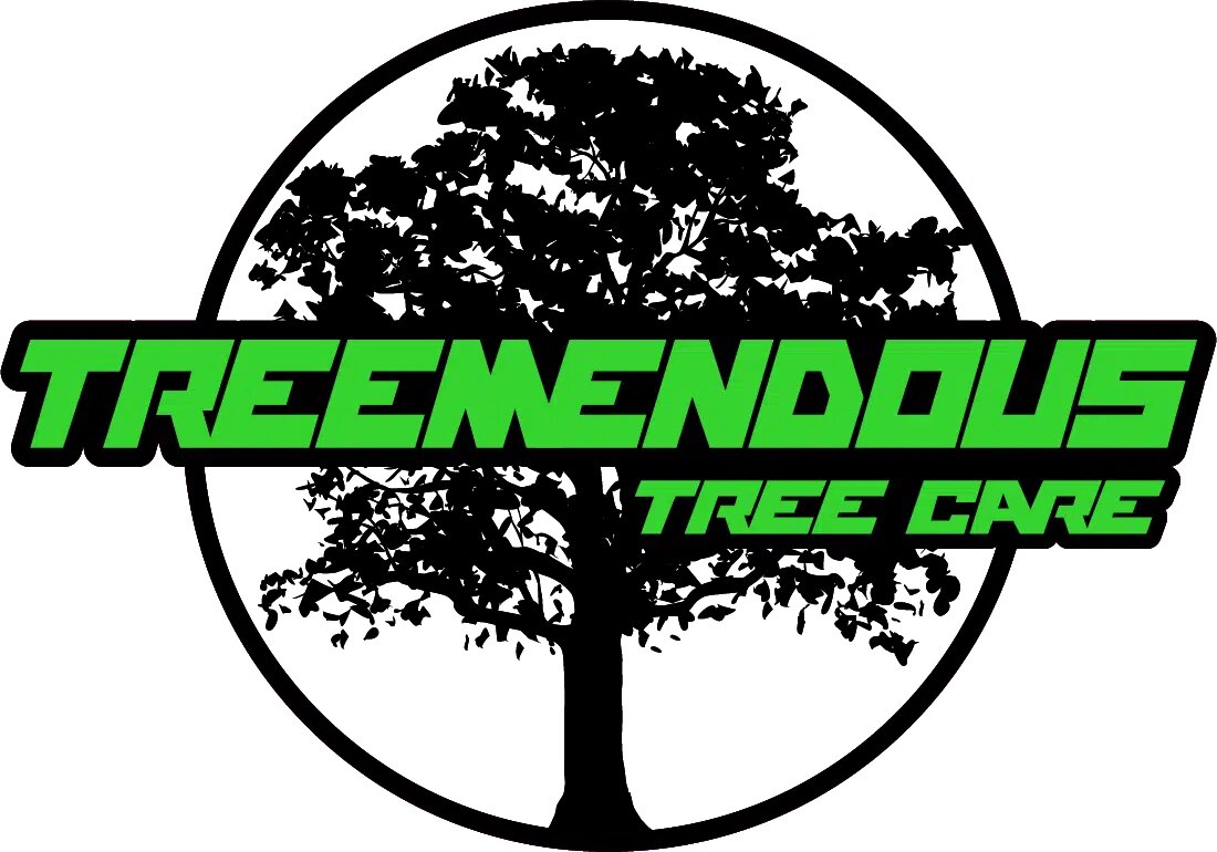 Treemendous Tree Care LLC is a professional tree care company based in Clinton Township, Michigan, serving Clinton Township, Macomb Township, and the surrounding Southeast Michigan region.