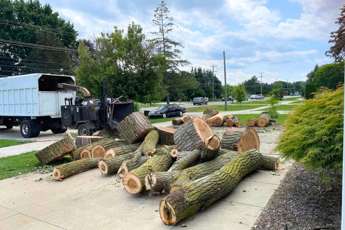 Treemendous Tree Care LLC is a professional tree care company based in Clinton Township, Michigan, serving Clinton Township, Macomb Township, and the surrounding Southeast Michigan region.