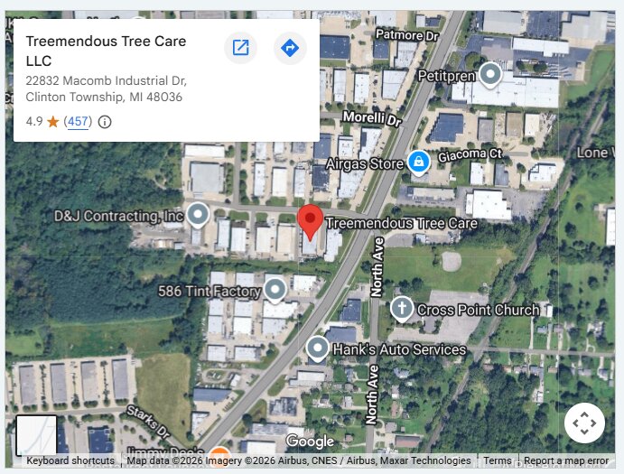Treemendous Tree Care LLC