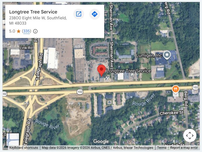 Longtree Tree Service
