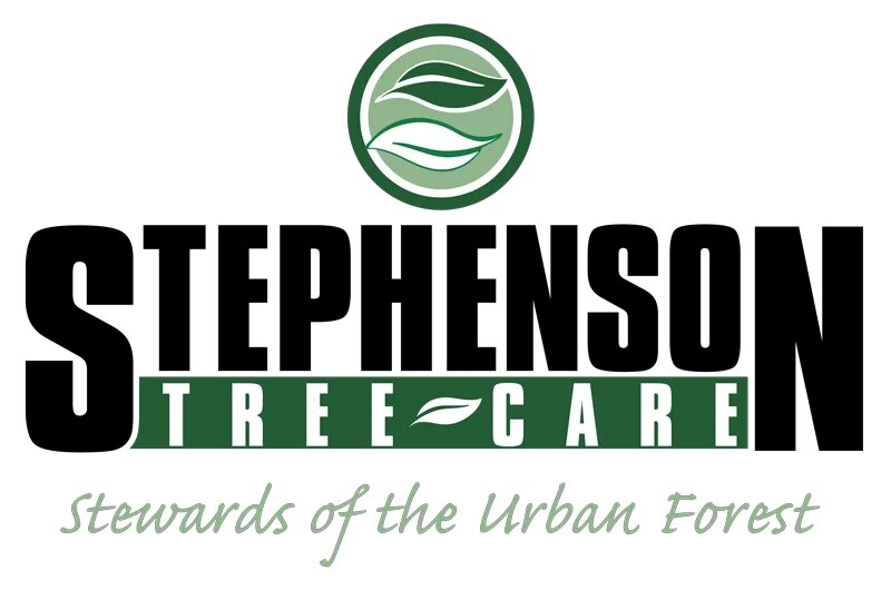 Stephenson Tree Care is a professional tree care company based in Madison, Wisconsin, serving Sun Prairie, Cottage Grove, and the surrounding Dane County region.