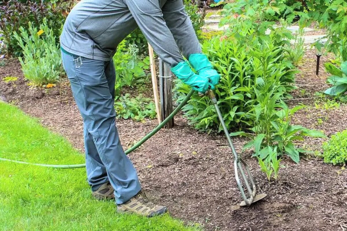Treemasters Tree and Garden Care is a San Rafael tree service company with ISA-certified arborists and tree climbers, plus more than 35 years of experience serving Marin County.