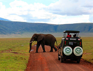 Zara Tours discusses the best east African vacations this Spring.
