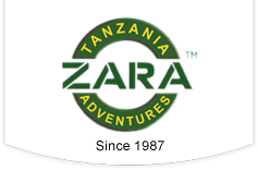 zara international travel agency