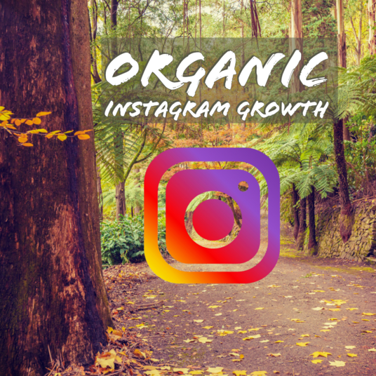 Organic Instagram Growth for Business - Best Practices