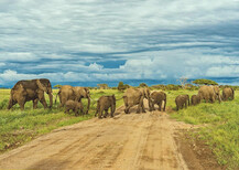 Why You Should Postpone Travel Rather Than Cancelling - Zara Tours