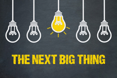 Litigation Funding Expert Rene Perras 