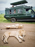 Tanzania Tours for A Wide Range of Capabilities - Zara Tours