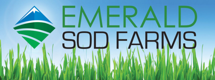 Emerald Sod Farms Features Their Distinguished Sod Blends on Newly Launched Webpages