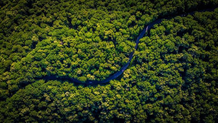 Climate Change Transformed the Amazon Forest into a Significant CO2 Emitter