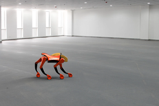On Nov. 20th, Japanese company Yinshan Co., Ltd. will release the consumer-grade robot dog 