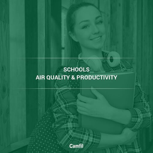 How Does Air Quality Impact Learning and Productivity in Schools? Air Pollution and Productivity Explained