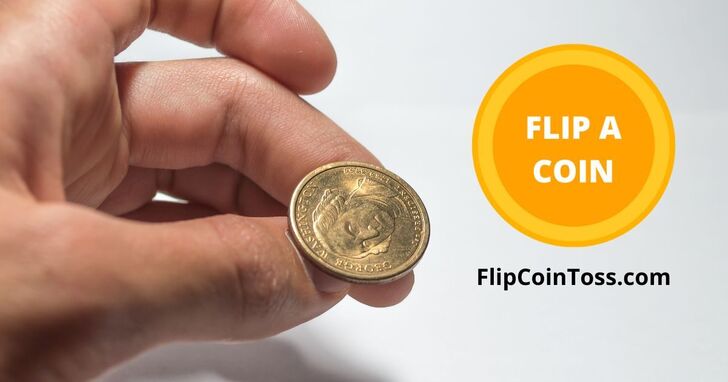 Flip a Coin Online