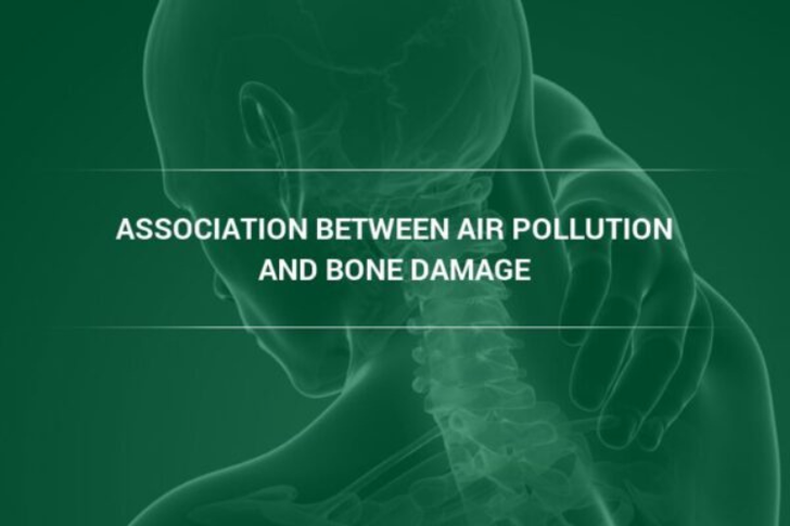 New Scientific Evidence Shows Link Between Poor Air Quality and Osteoporosis, Air Filtration Professionals Explain 