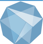 SNAH Software Solutions 