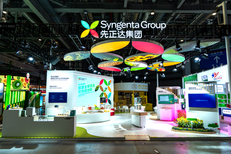 Sinochem Holdings inks procurement deals worth over $10 billion at 6th CIIE