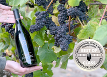 Halleck Vineyard Three Sons Russian River Valley Pinot Noir judged best of class at the 2023 Sommelier Challenge.
