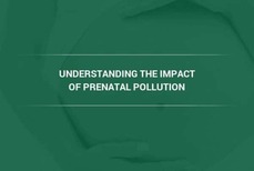 New Study Shows Link Between Prenatal Air Pollution Exposure and Neonatal Respiratory Distress