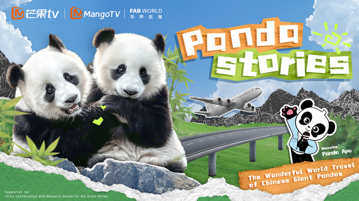 The documentary Panda Stories, starting a marvelous world travel of Chinese giant pandas