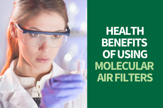 Air Quality Experts in Los Angeles Discuss the Health Benefits of Molecular Filters