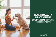 Camfil USA Explores How Air Quality Impacts Entire Ecosystems Beyond Human Health