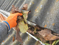 RAIN GUTTERS  CLEANING 